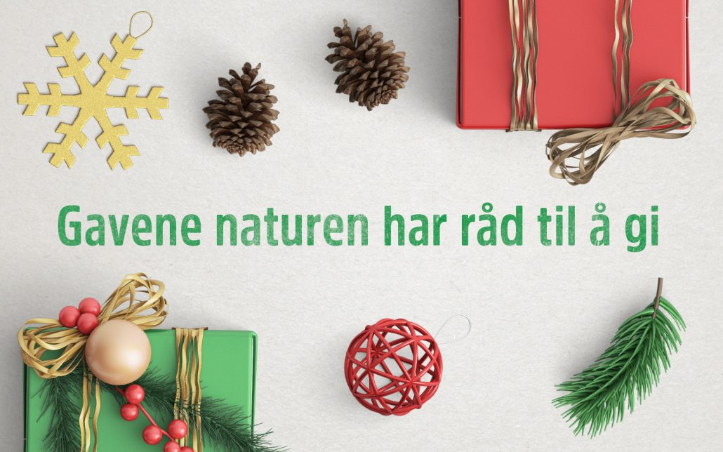 miljøvennlige_julegaver_hovedbilde