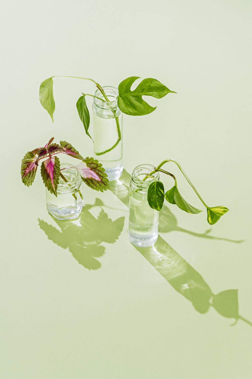 Fyll glasset